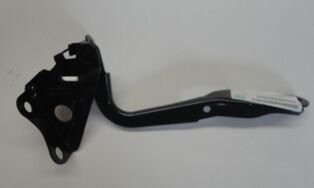 TOYOTA RAV4- 06/09; KAPUT MENTESESI SAG (TYG)