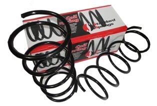 CITROEN SAXO- 96/00; ÖN HELEZON YAYI SAG/SOL (2LI SET) (11,75X157) (STDR)