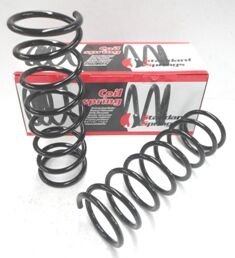 NISSAN MICRA- K11- 98/02; ARKA HELEZON YAYI SAG/SOL (2LI SET) (10,75X112) (STDR)