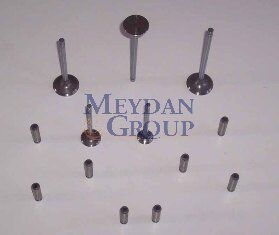 NISSAN SUNNY- B11 CD17- 84/86; EGZOST SUPAPI DIZEL 1.7cc (ARM)