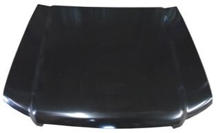 FORD RANGER- PICK UP- 07/09; MOTOR KAPUTU (MY)