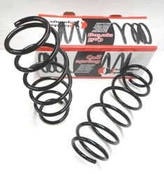 PEUGEOT 207- 06/12; ÖN HELEZON YAYI SAG/SOL (2LI SET) (12,25X143) (STDR)