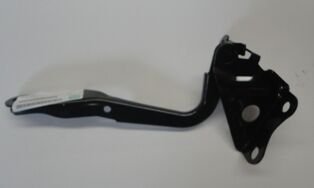 TOYOTA RAV4- 06/09; KAPUT MENTESESI SOL (TYG)